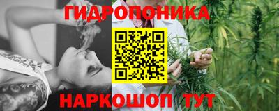 гидра Лесосибирск