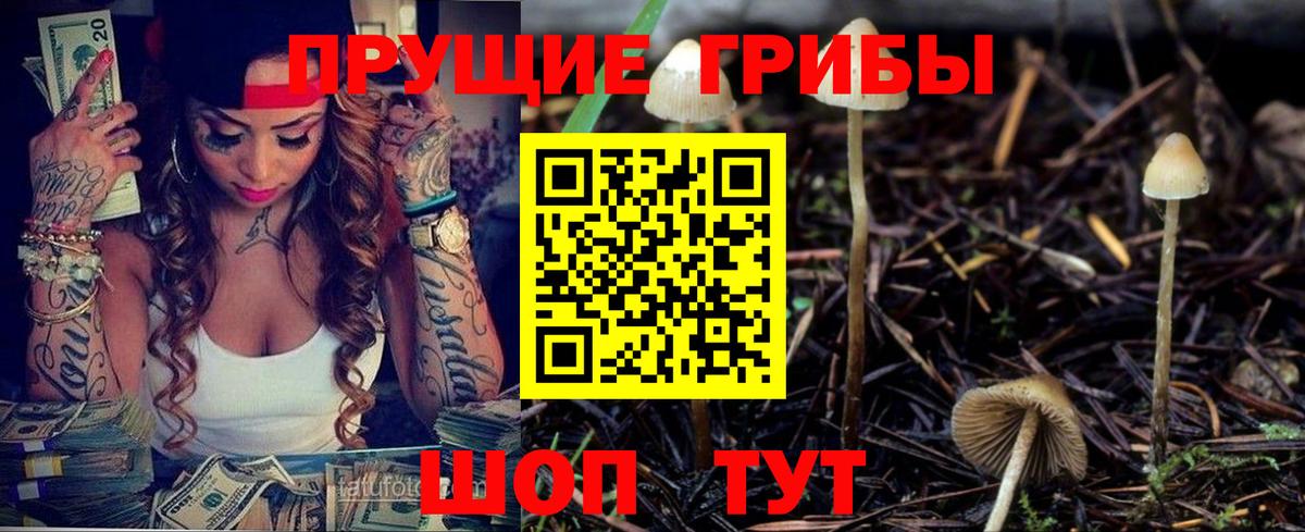 Губкинский  Галлюциногенные грибы мухоморы  Вход с VPN 